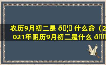 农历9月初二是 🦉 什么命（2021年阴历9月初二是什么 🕊 命）